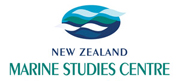 Nzmsc_logo